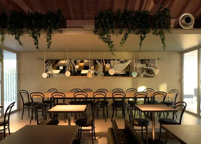 Zero Box 3* 科英布拉